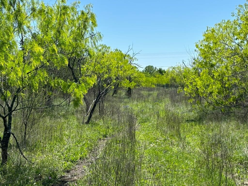 1102 FM 3435, Shiner — public listing photo 38