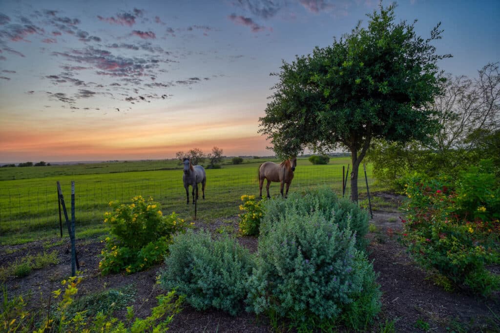 1112 CR 376, Shiner, TX — public listing photo 30