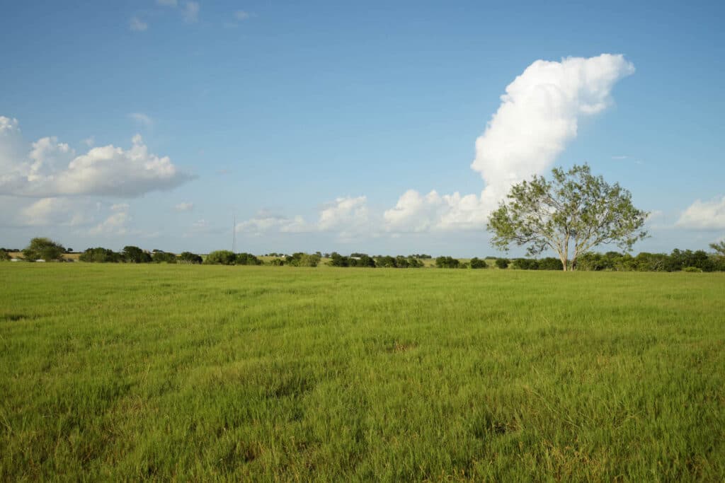 1112 CR 376, Shiner, TX — public listing photo 34