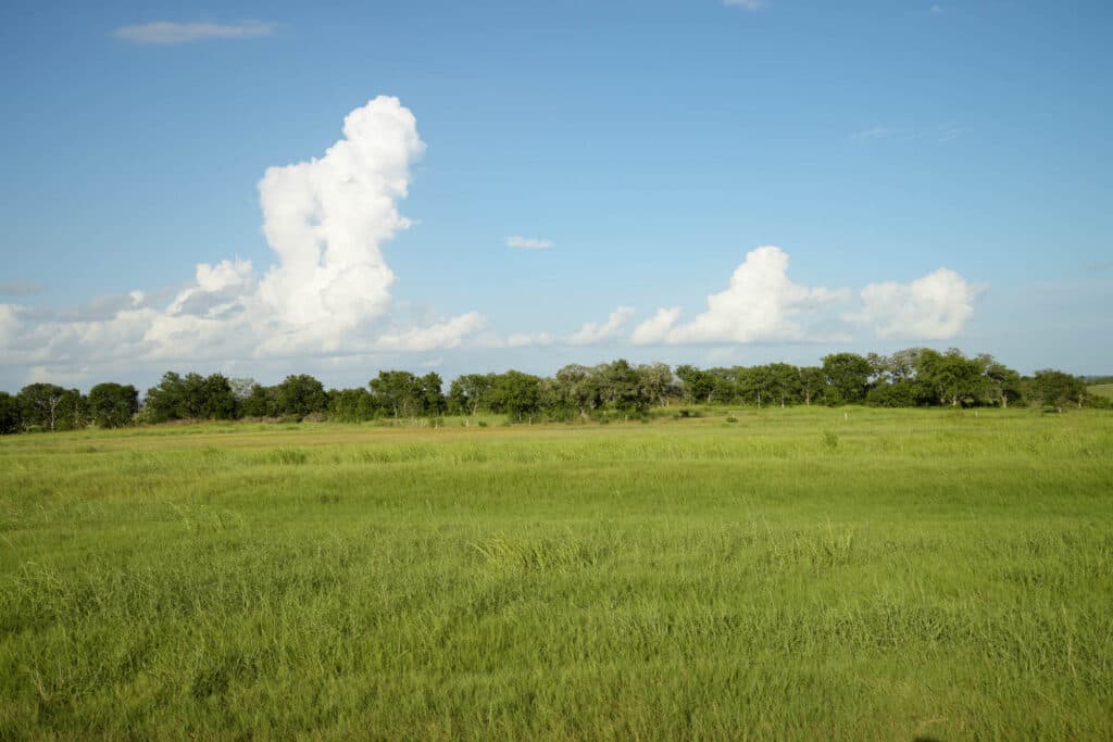 1112 CR 376, Shiner, TX — public listing photo 37