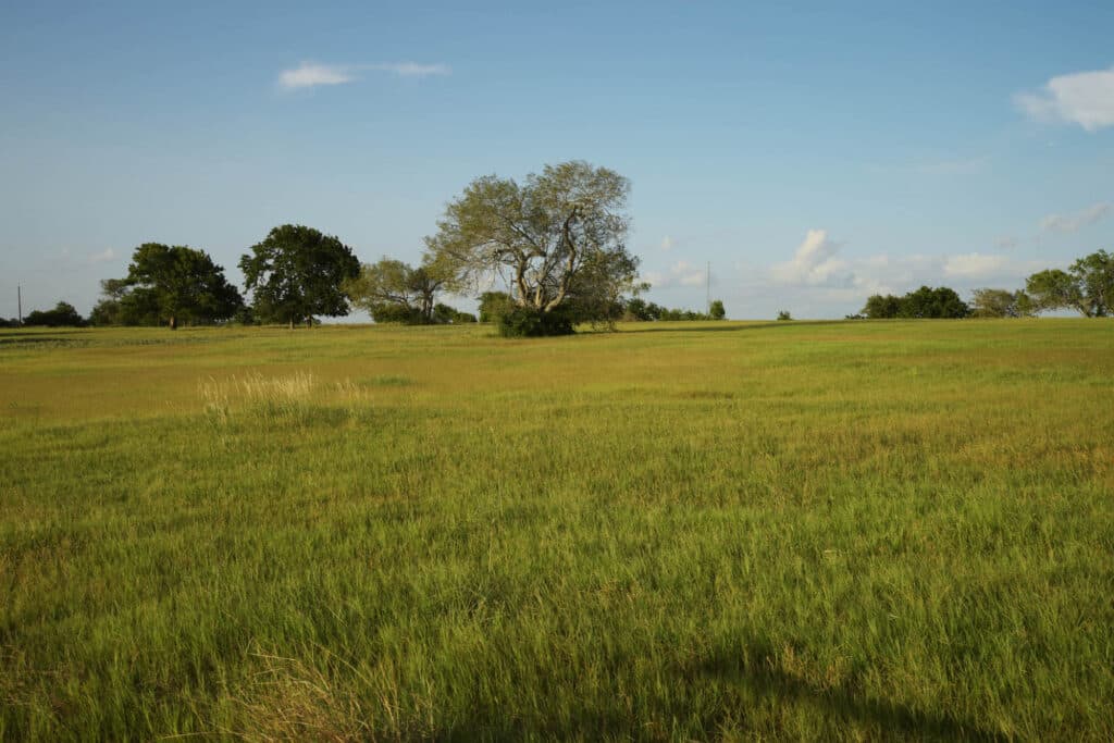 1112 CR 376, Shiner, TX — public listing photo 40