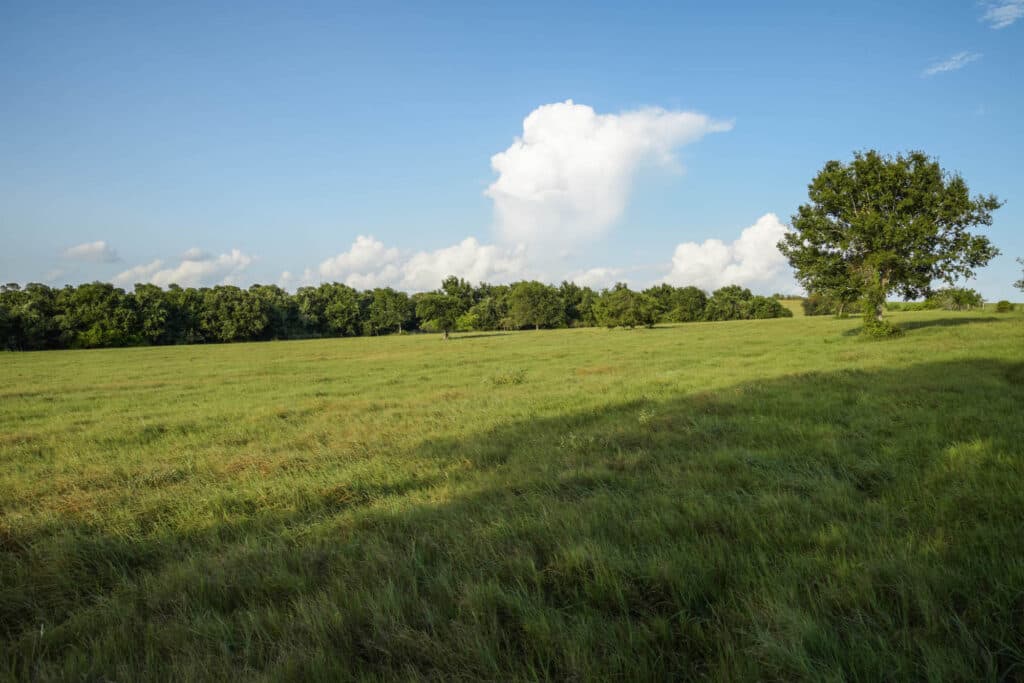 1112 CR 376, Shiner, TX — public listing photo 42