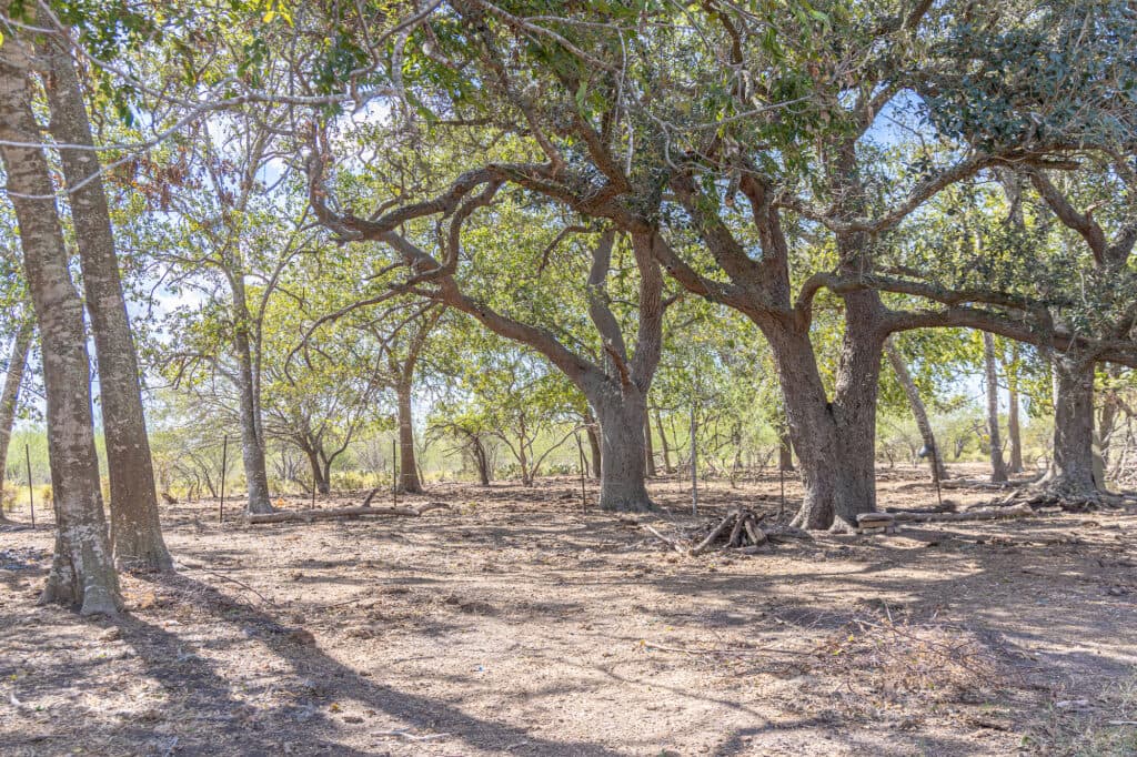11341 FM 340, Moulton 77975 — public listing photo 6