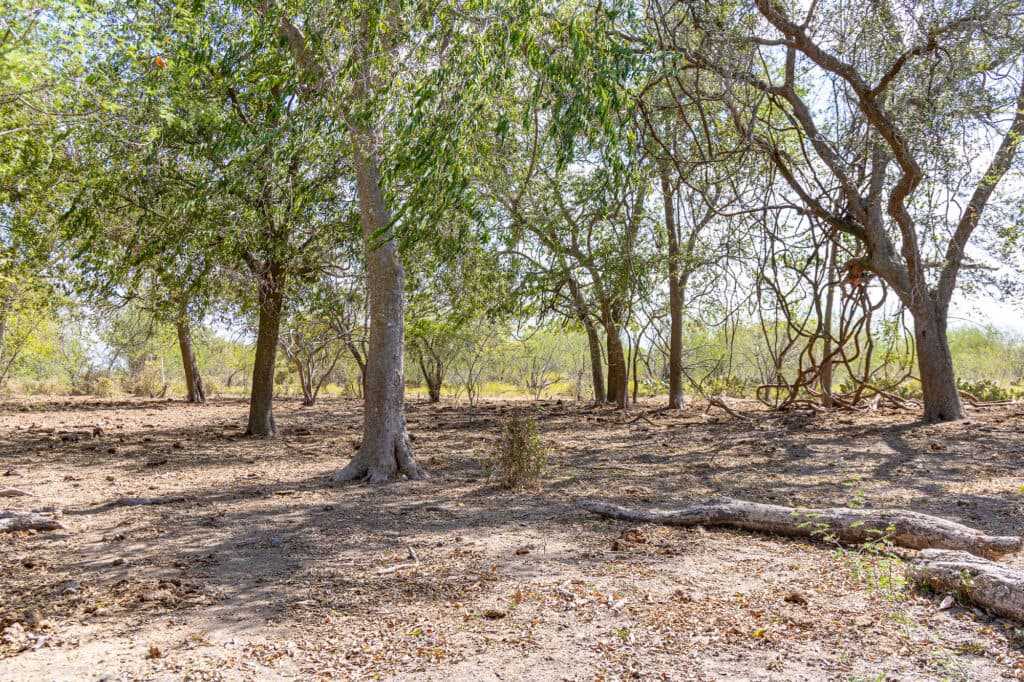 11341 FM 340, Moulton 77975 — public listing photo 15