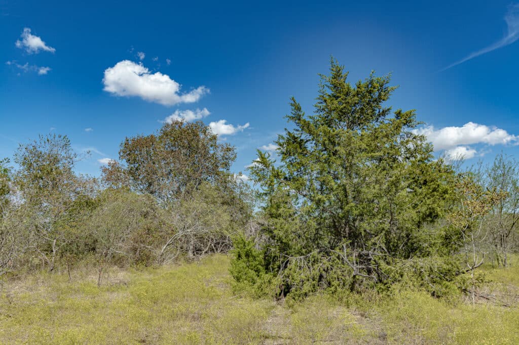 11341 FM 340, Moulton 77975 — public listing photo 16