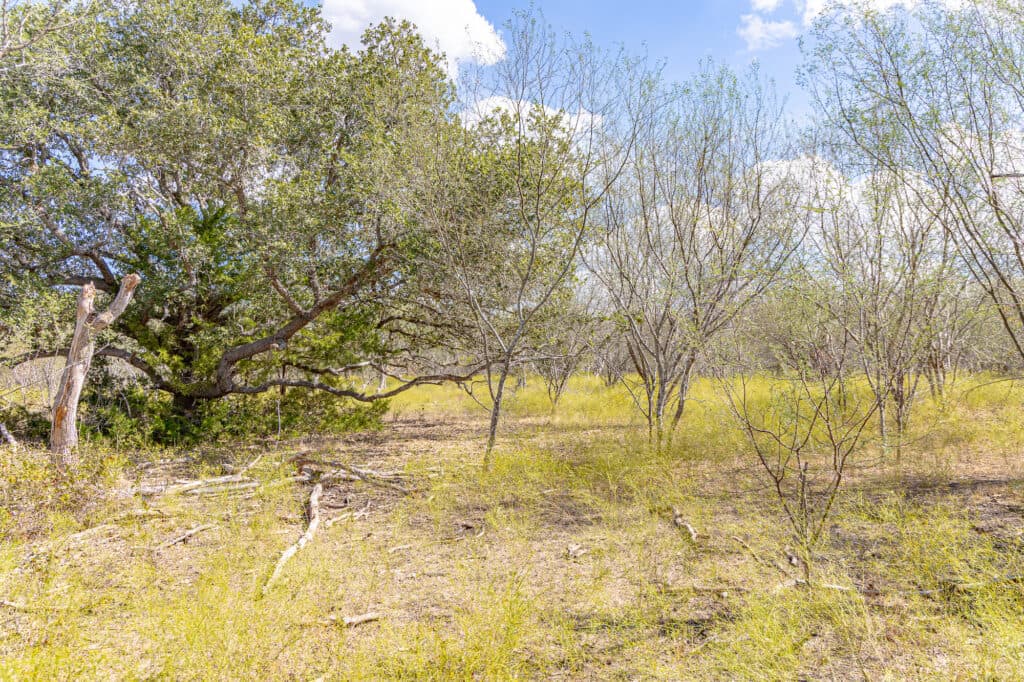 11341 FM 340, Moulton 77975 — public listing photo 17