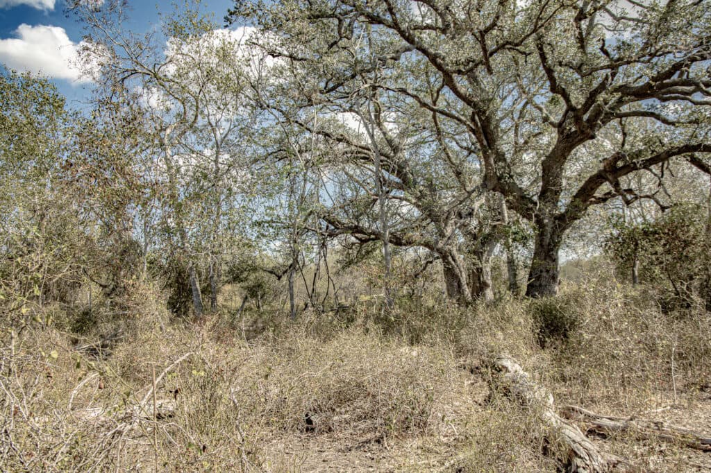 11341 FM 340, Moulton 77975 — public listing photo 18