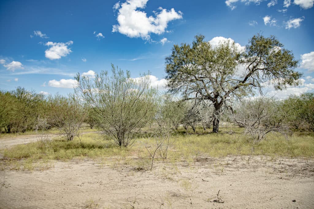 11341 FM 340, Moulton 77975 — public listing photo 19
