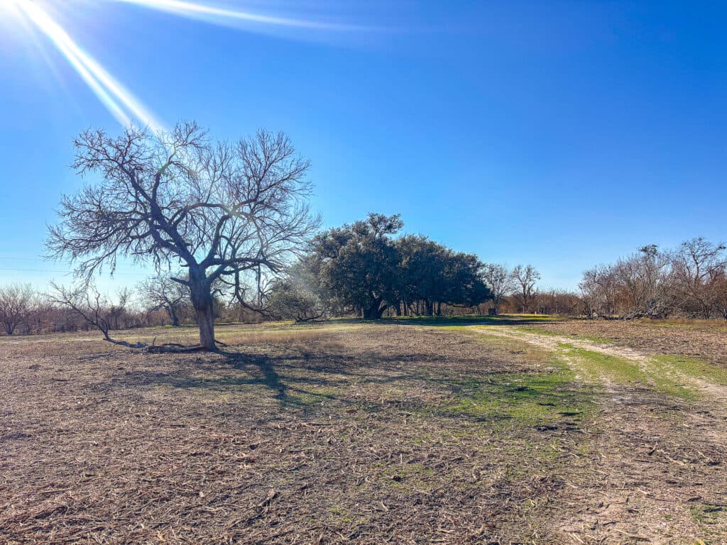 11341 FM 340, Moulton 77975 — public listing photo 24