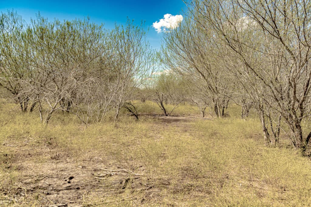 11341 FM 340, Moulton 77975 — public listing photo 25