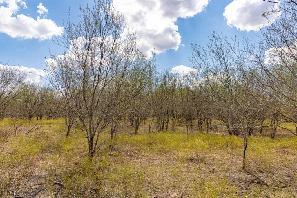 11341 FM 340, Moulton 77975 — public listing photo 27