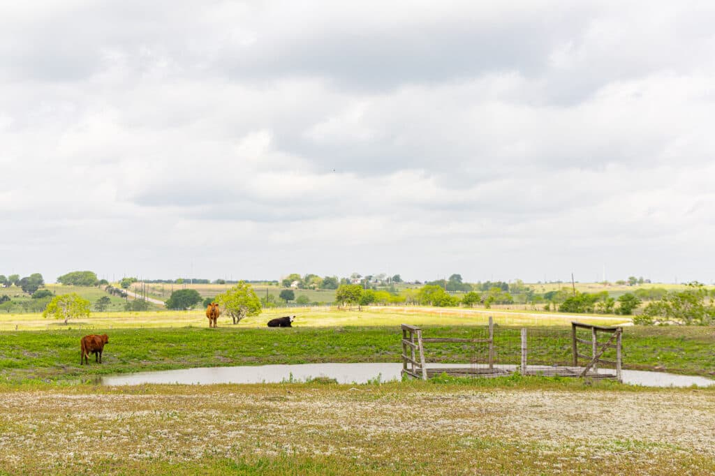 13634 FM 340, Shiner TX 77984 — public listing photo 43