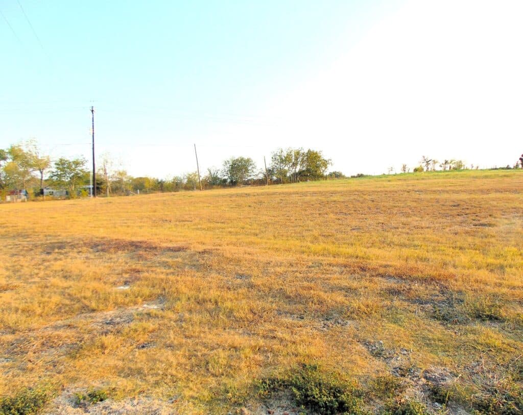 1462 State Hwy 95 S, Shiner — public listing photo 4