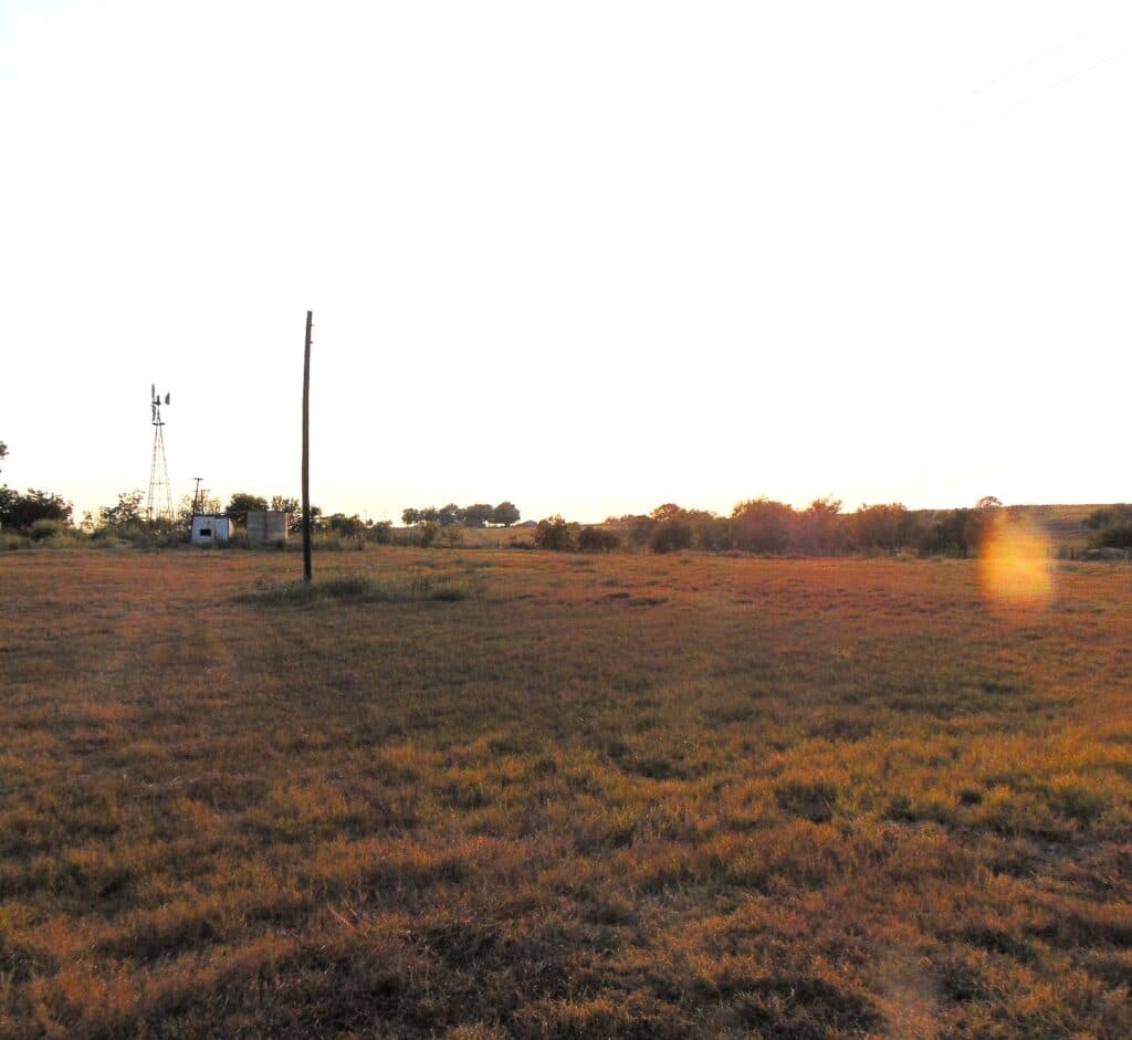 1462 State Hwy 95 S, Shiner — public listing photo 5