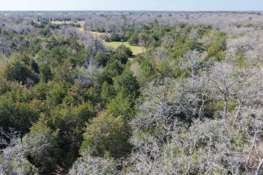 1873 CR 136A, Hallettsville, TX 77964 — public listing photo 12