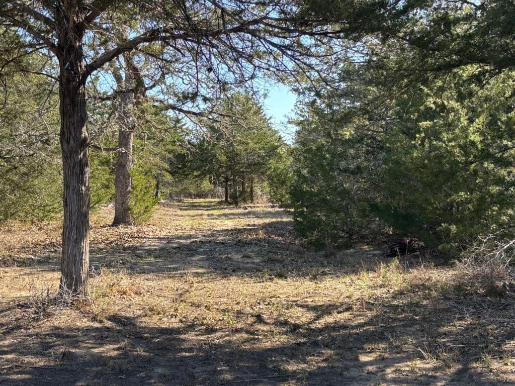 1873 CR 136A, Hallettsville, TX 77964 — public listing photo 16