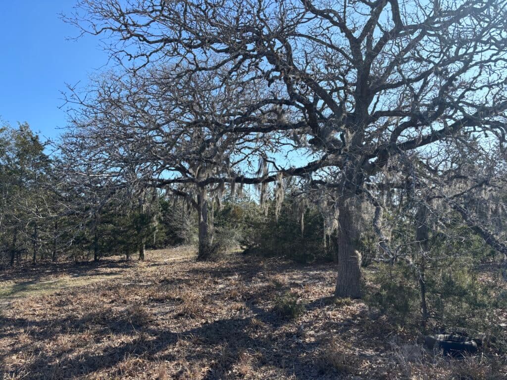 1873 CR 136A, Hallettsville, TX 77964 — public listing photo 23