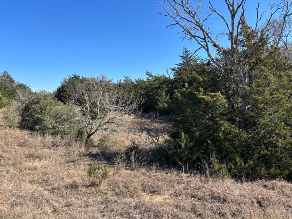 1873 CR 136A, Hallettsville, TX 77964 — public listing photo 24