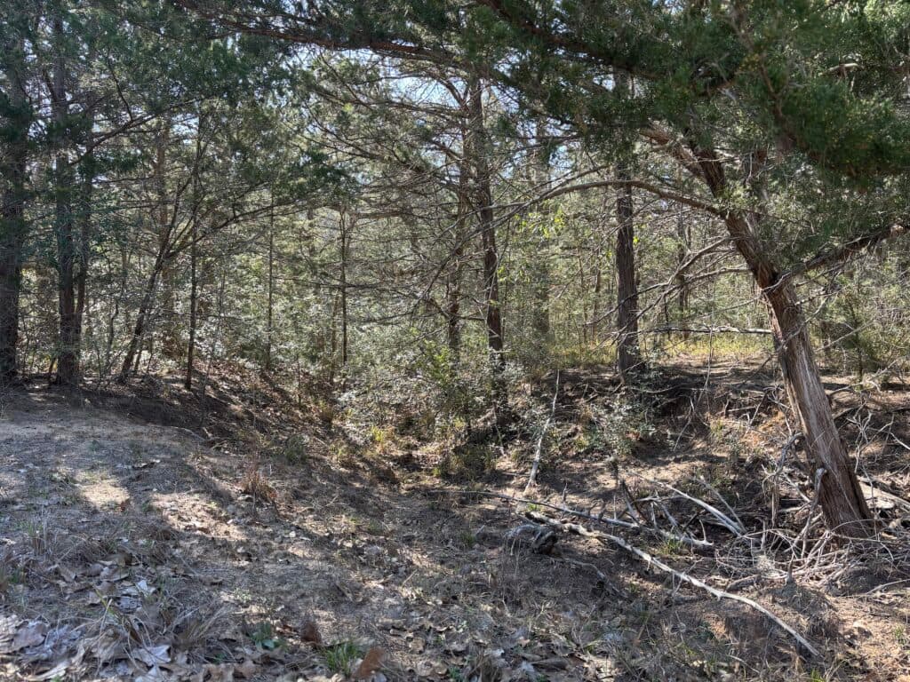 1873 CR 136A, Hallettsville, TX 77964 — public listing photo 26