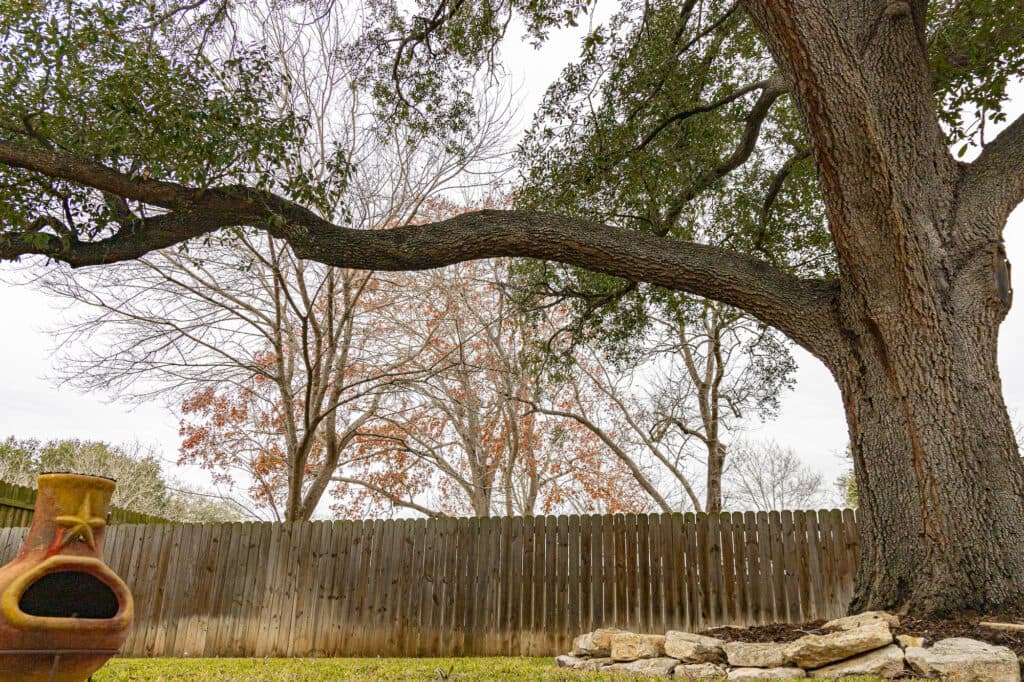 203 W. Bozka, St, Shiner TX 77984 — public listing photo 29