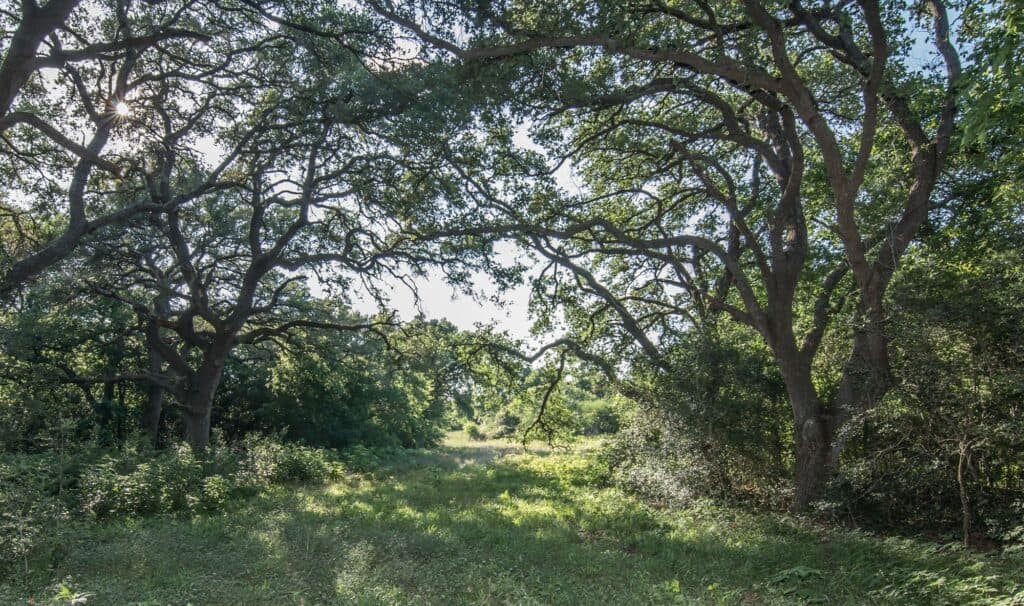 211 CR 317, Yoakum — public listing photo 26