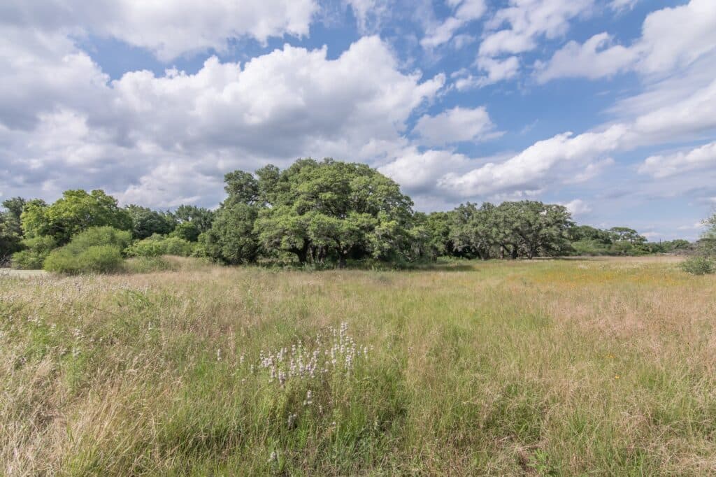 211 CR 317, Yoakum — public listing photo 28
