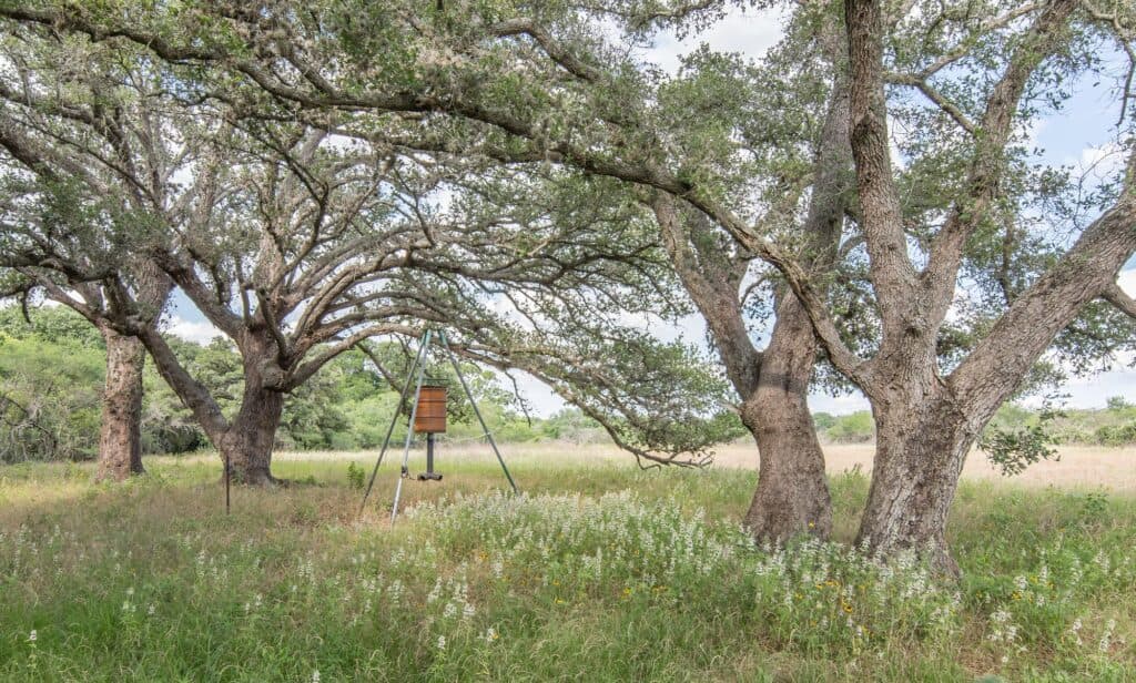 211 CR 317, Yoakum — public listing photo 29