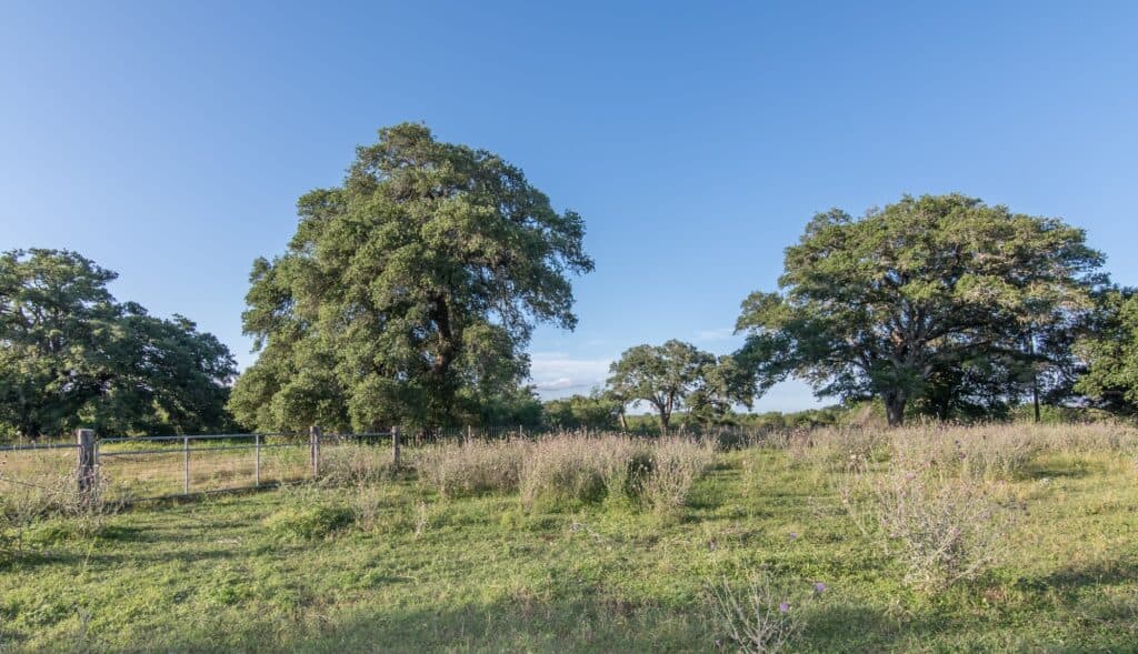 211 CR 317, Yoakum — public listing photo 30