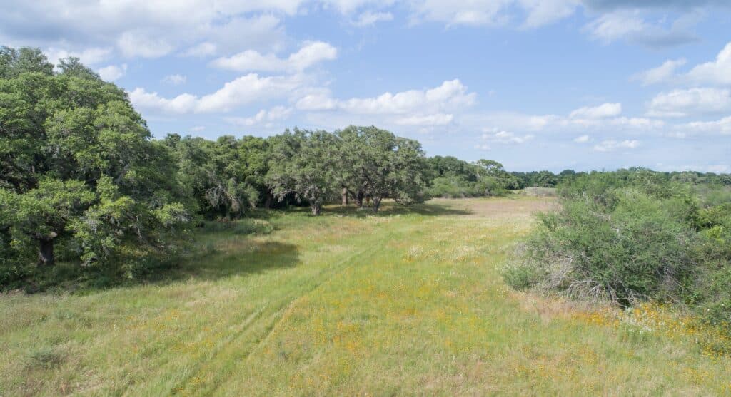 211 CR 317, Yoakum — public listing photo 32