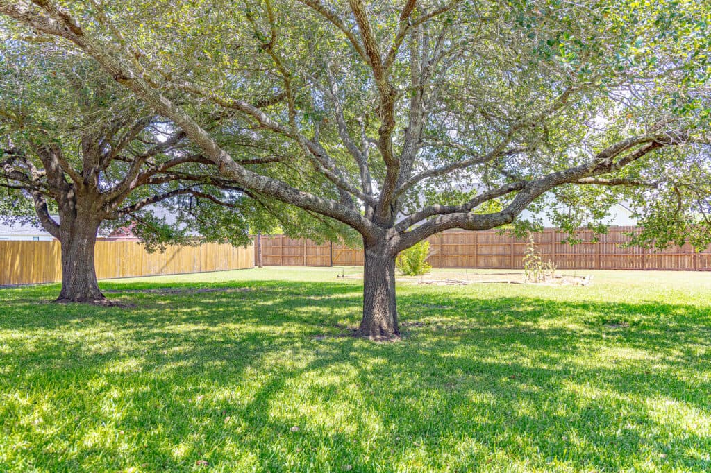 216 Montana Dr., Shiner Texas — public listing photo 24