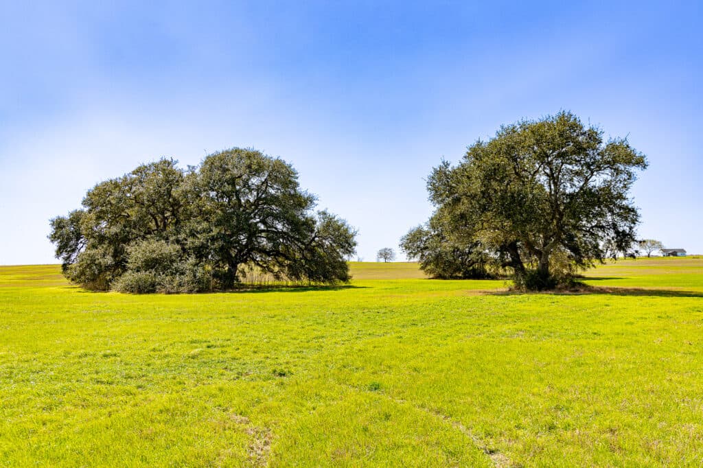 2168 CR 320, Shiner, TX 77984 — public listing photo 16