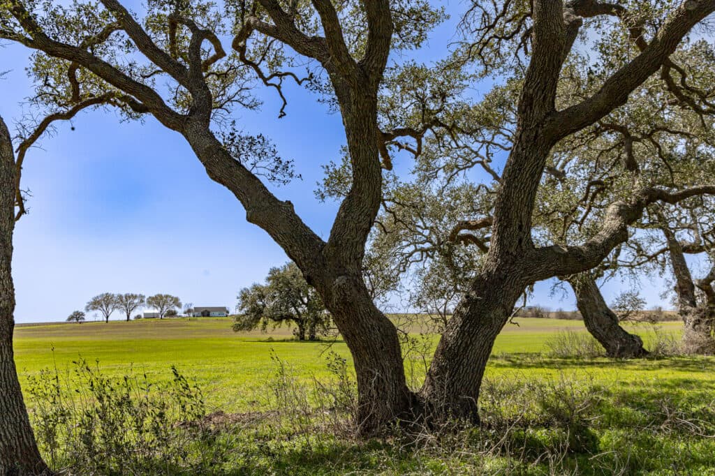 2168 CR 320, Shiner, TX 77984 — public listing photo 17