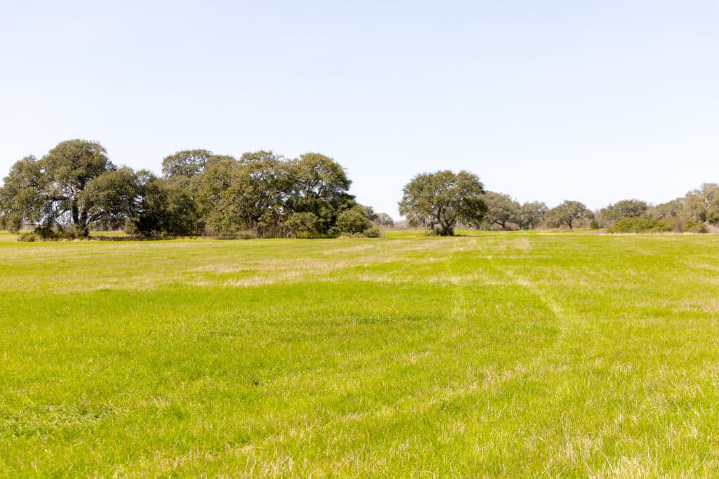 2168 CR 320, Shiner, TX 77984 — public listing photo 19
