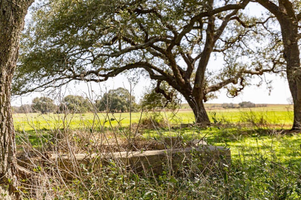 2168 CR 320, Shiner, TX 77984 — public listing photo 20