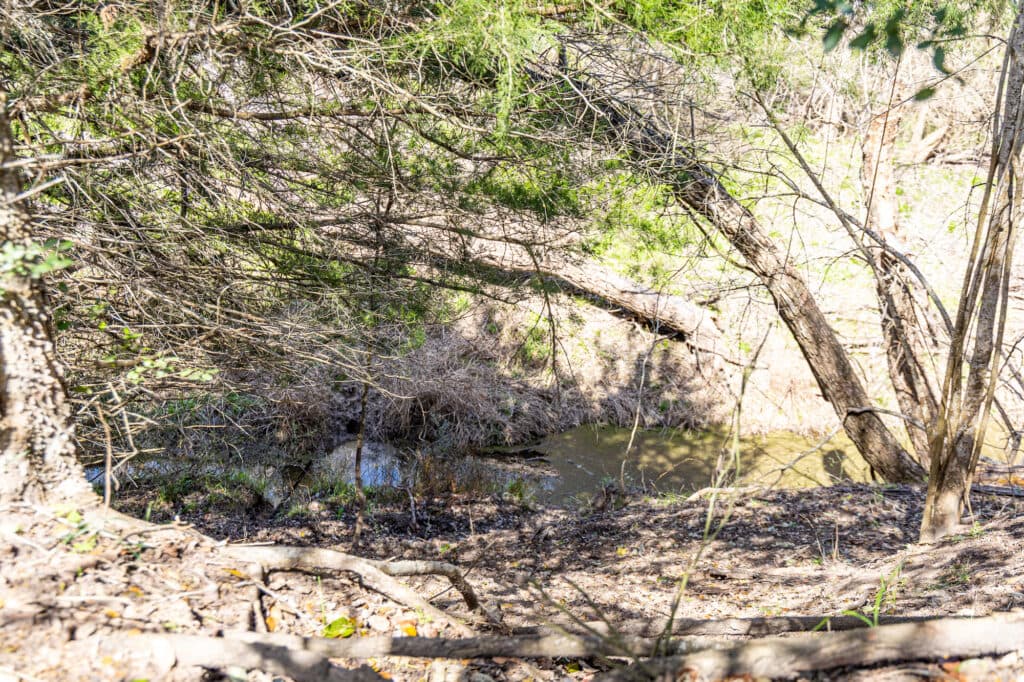 2168 CR 320, Shiner, TX 77984 — public listing photo 24