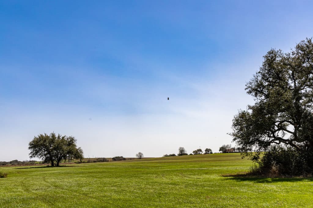 2168 CR 320, Shiner, TX 77984 — public listing photo 25