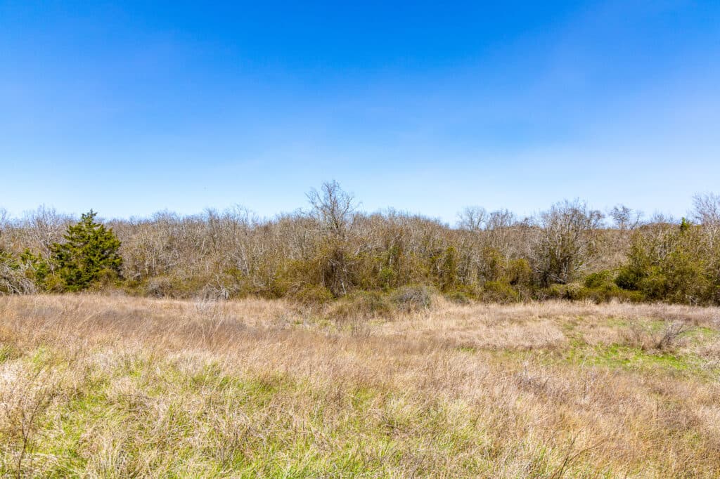 2168 CR 320, Shiner, TX 77984 — public listing photo 26
