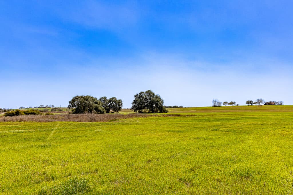 2168 CR 320, Shiner, TX 77984 — public listing photo 29