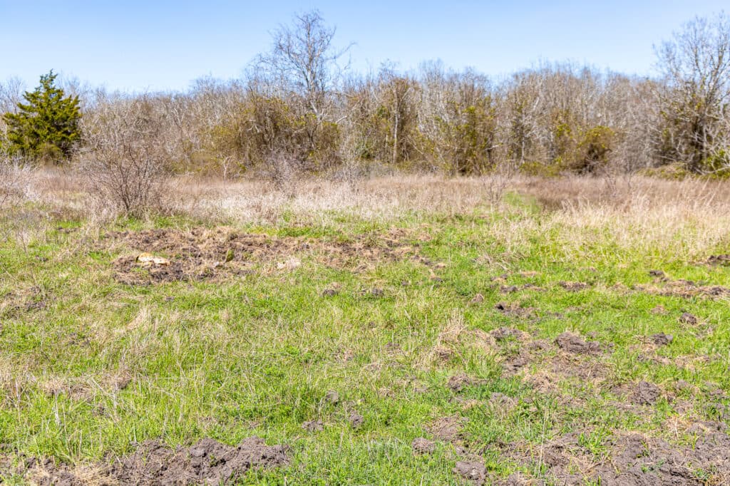 2168 CR 320, Shiner, TX 77984 — public listing photo 30