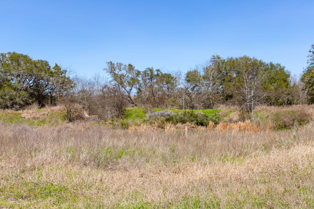 2168 CR 320, Shiner, TX 77984 — public listing photo 31