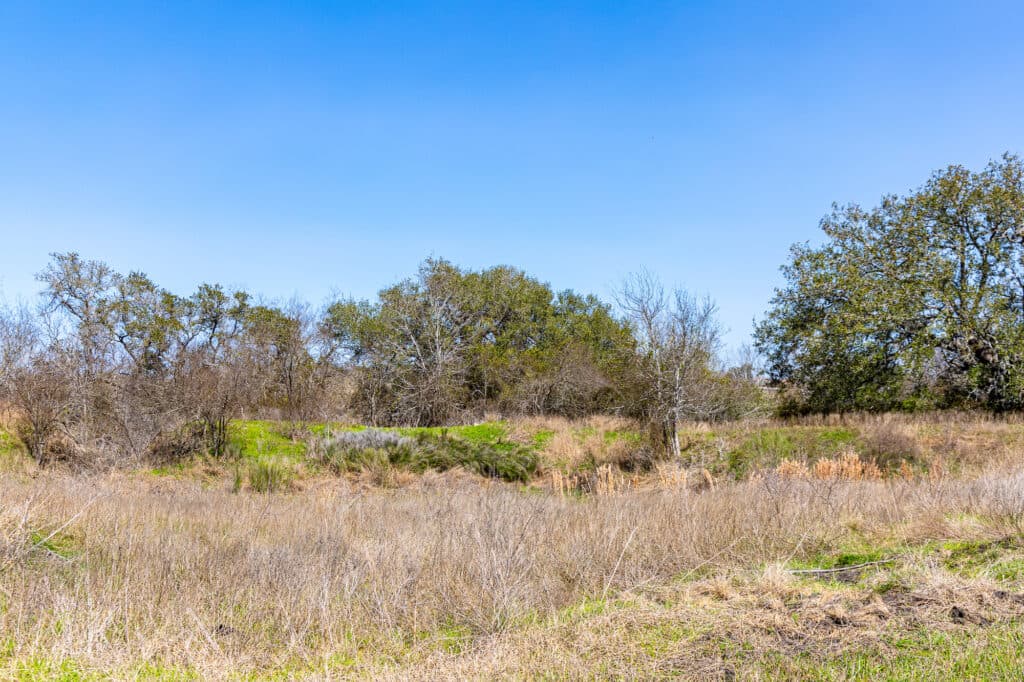 2168 CR 320, Shiner, TX 77984 — public listing photo 35