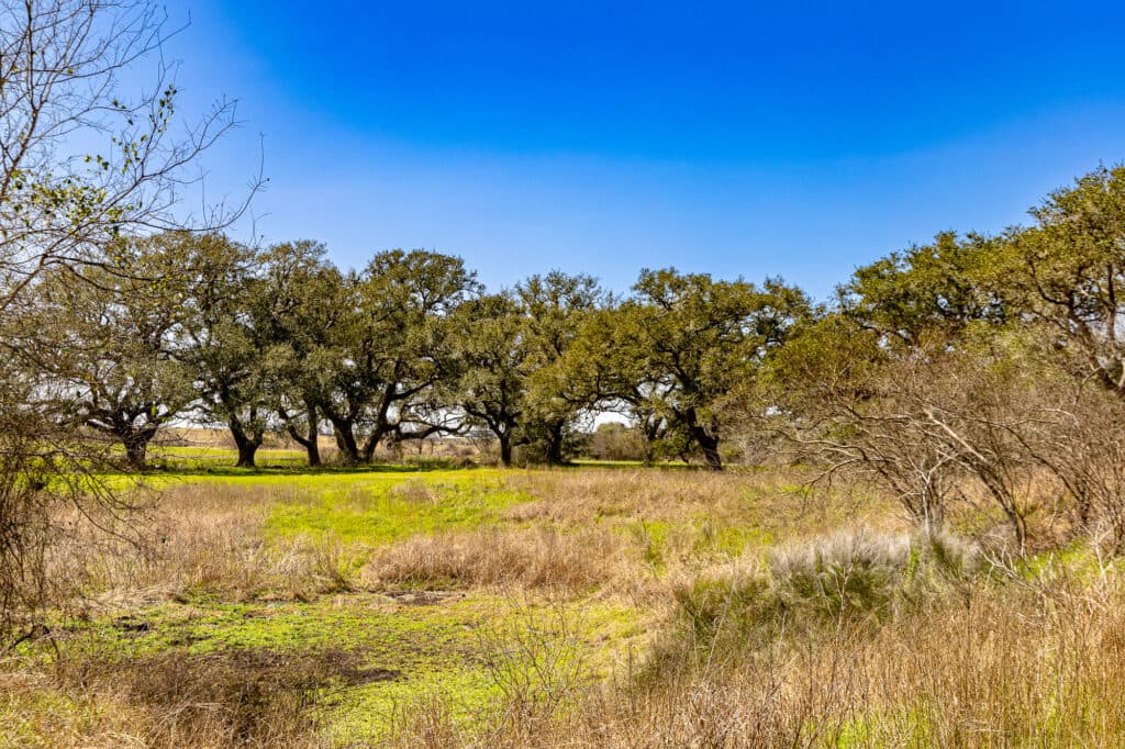2168 CR 320, Shiner, TX 77984 — public listing photo 38