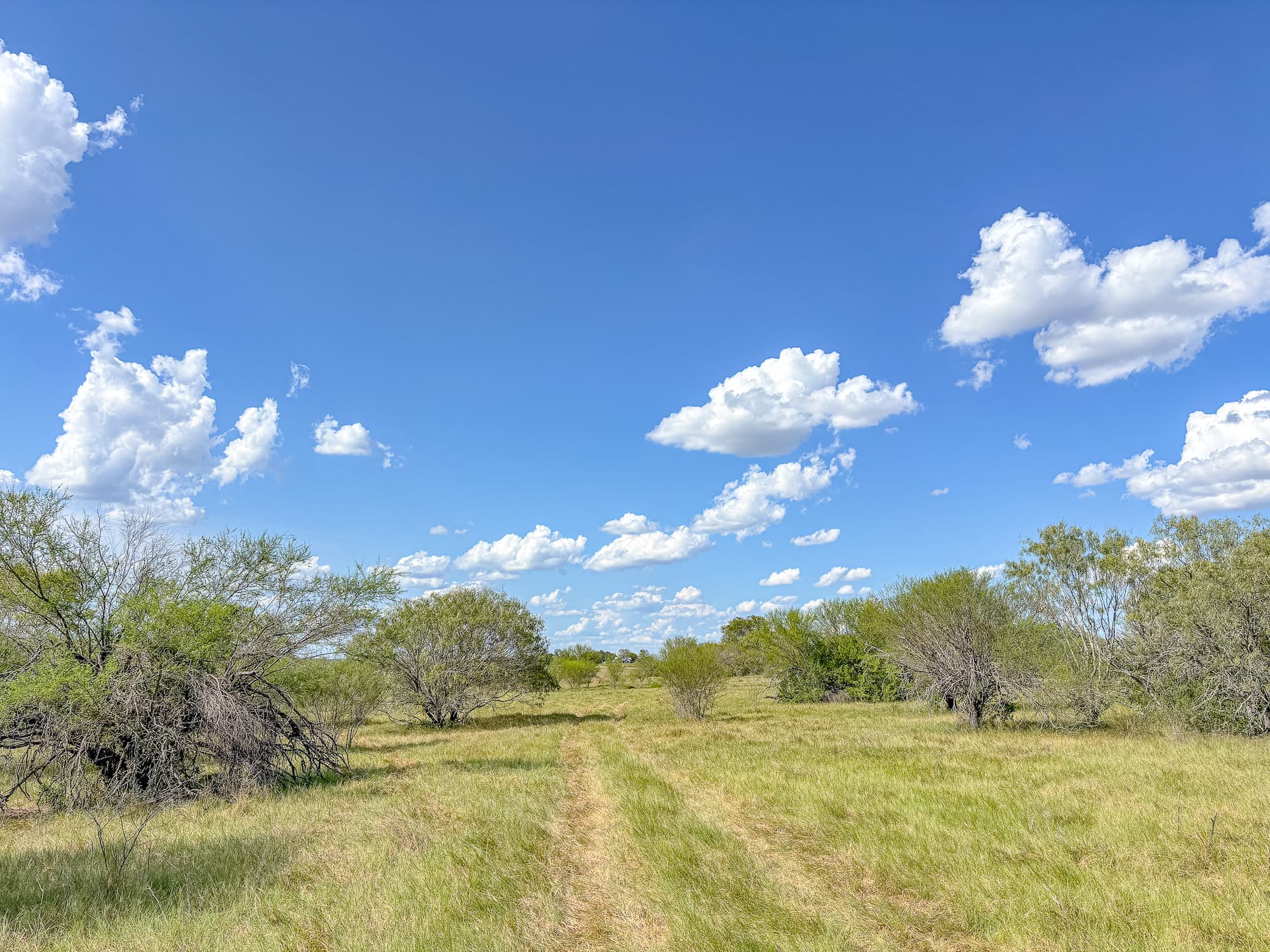 2181 C R 374, Shiner TX 77984 — public listing photo 1