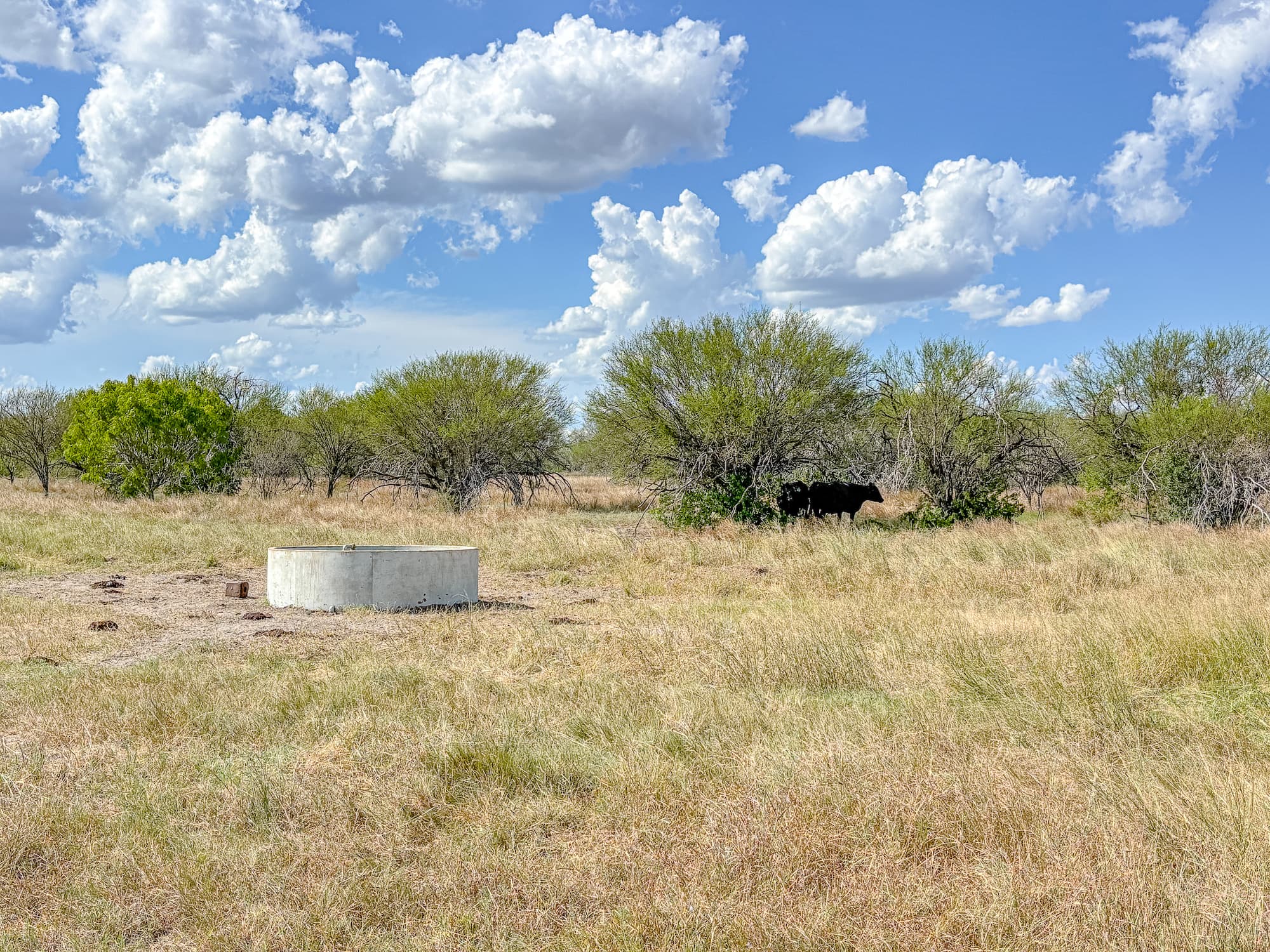 2181 C R 374, Shiner TX 77984 — public listing photo 4