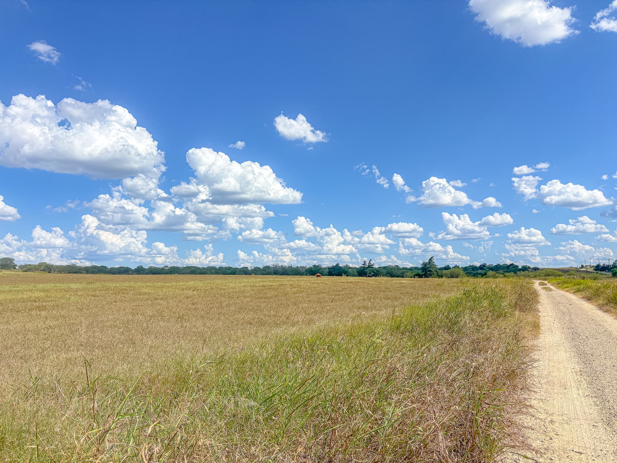 2181 C R 374, Shiner TX 77984 — public listing photo 7