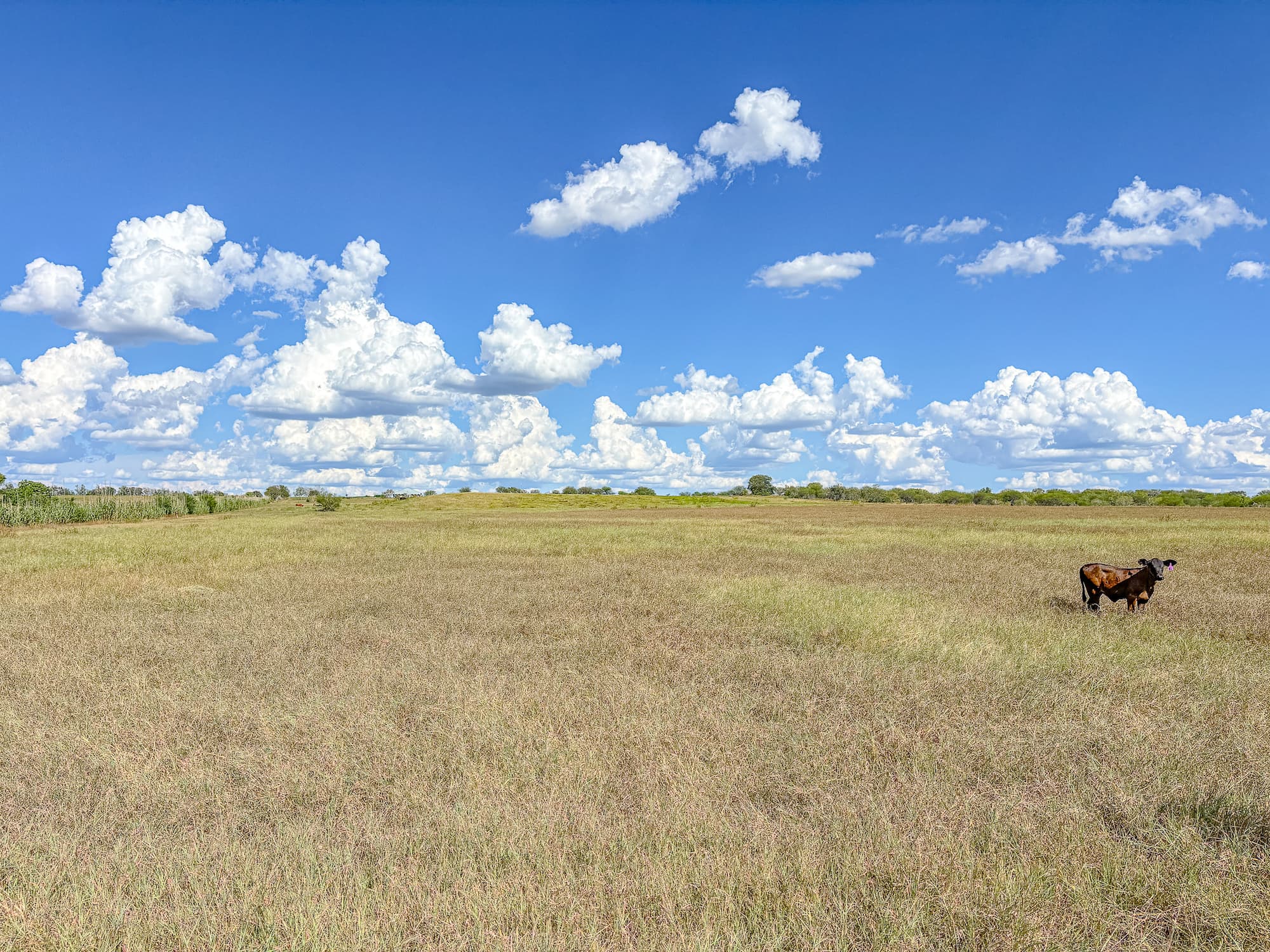 2181 C R 374, Shiner TX 77984 — public listing photo 8