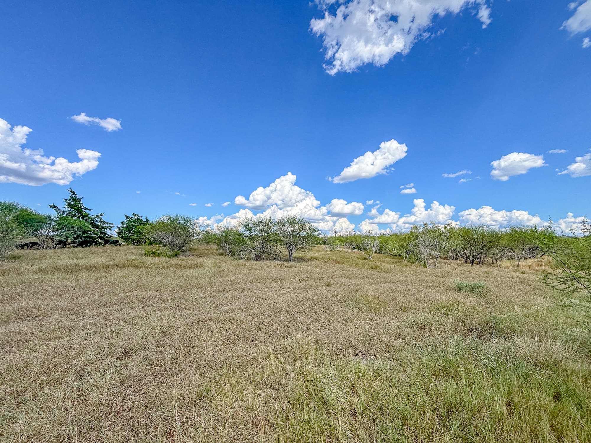 2181 C R 374, Shiner TX 77984 — public listing photo 14