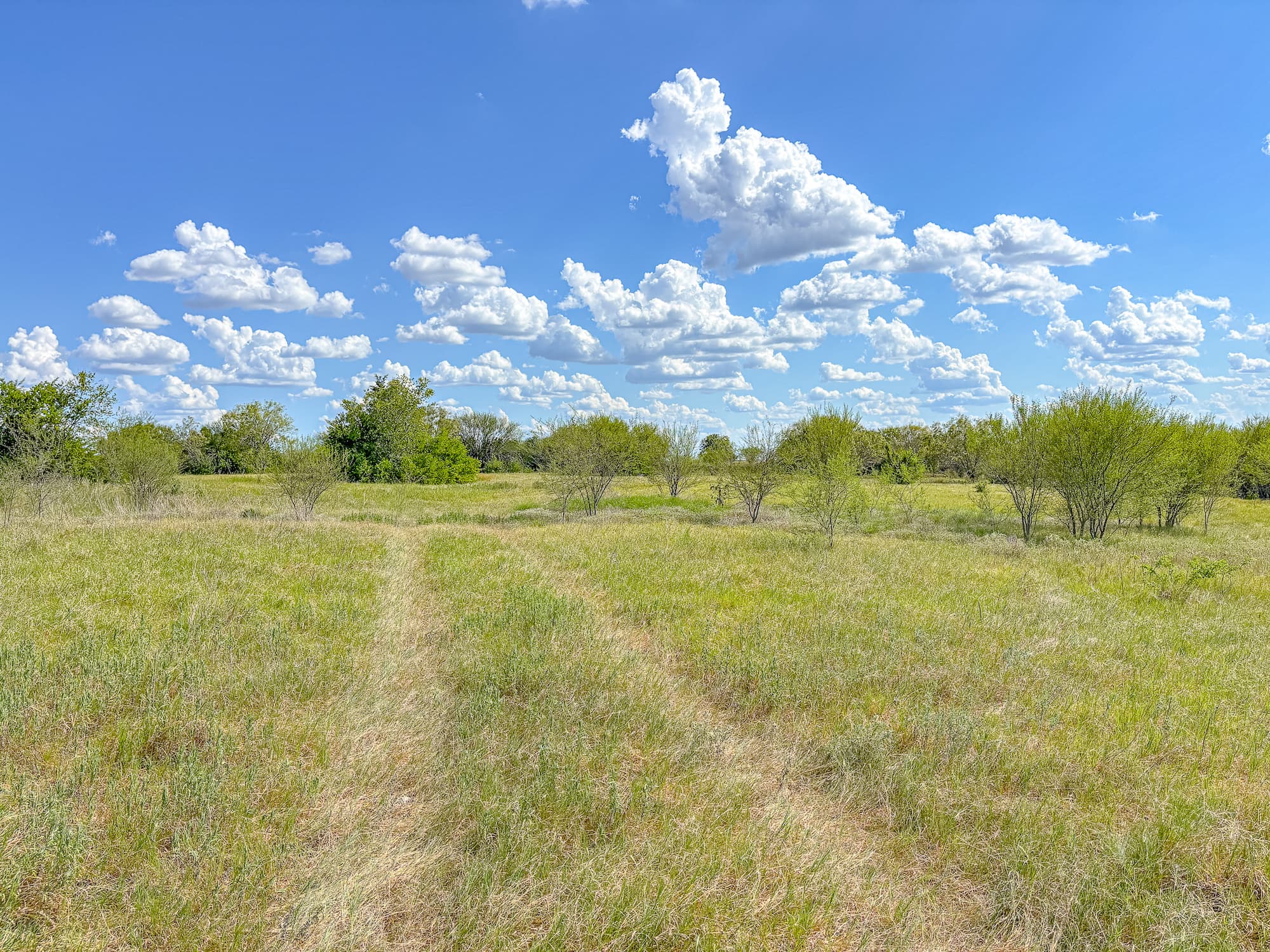 2181 C R 374, Shiner TX 77984 — public listing photo 18