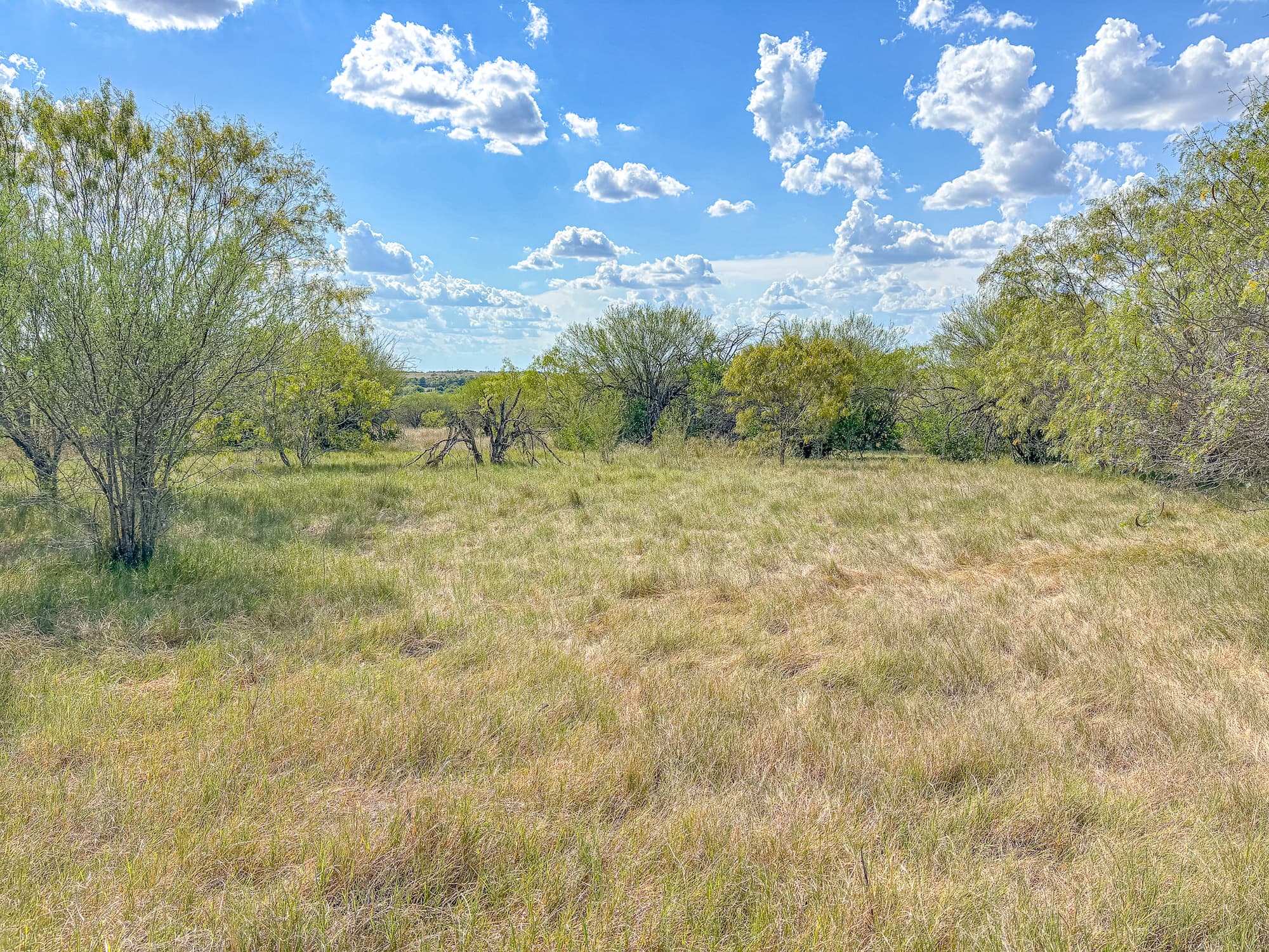 2181 C R 374, Shiner TX 77984 — public listing photo 19