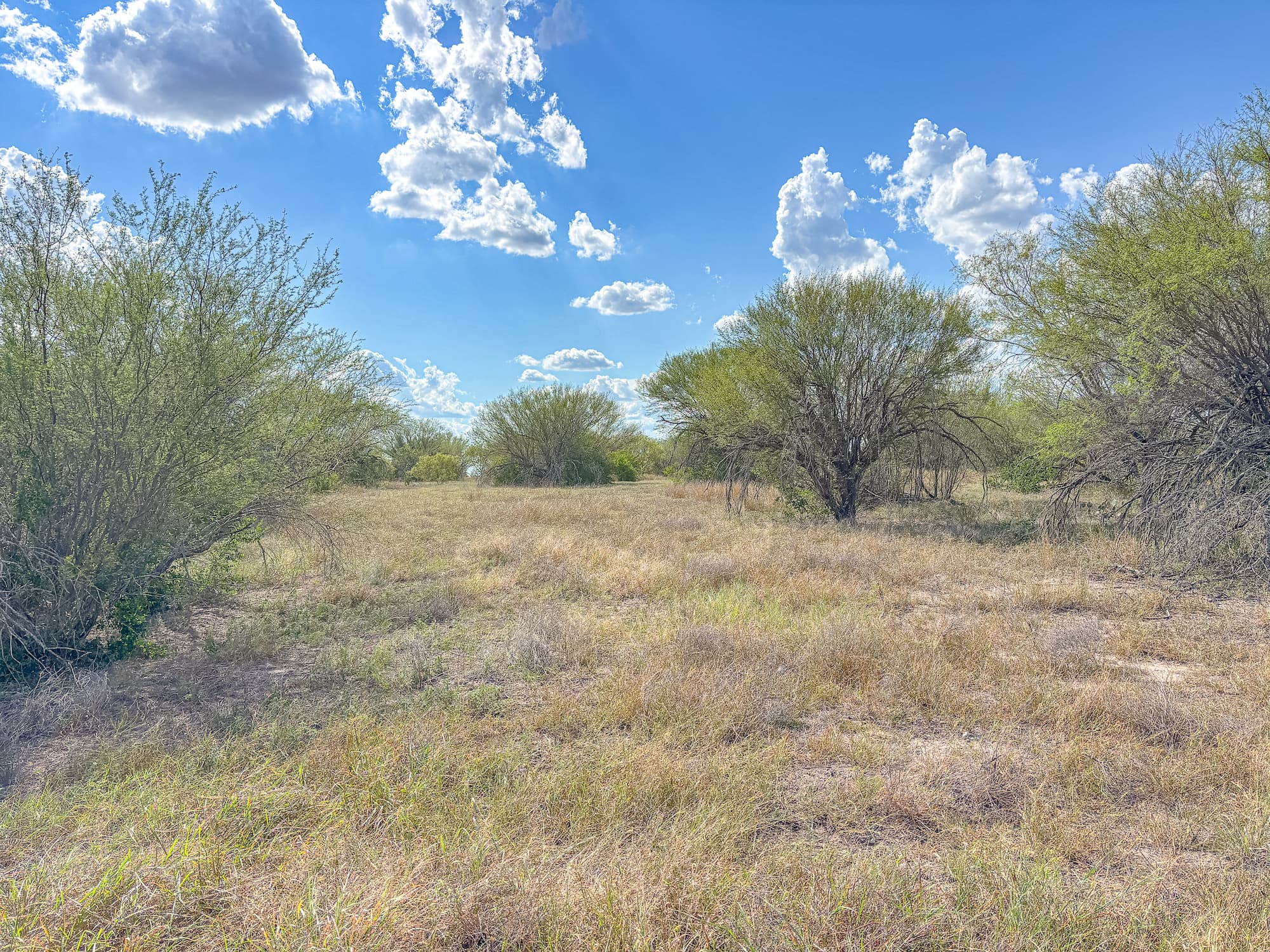 2181 C R 374, Shiner TX 77984 — public listing photo 21